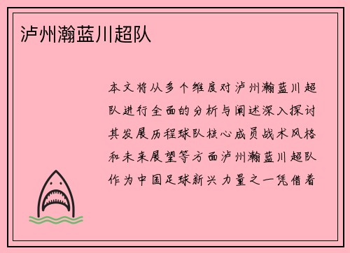 泸州瀚蓝川超队