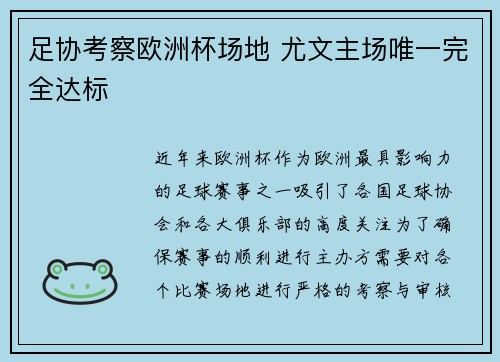 足协考察欧洲杯场地 尤文主场唯一完全达标